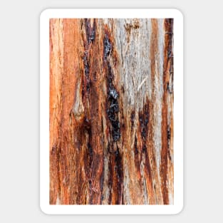 Vibrant Tree Oozing Sap From Trunk Sticker